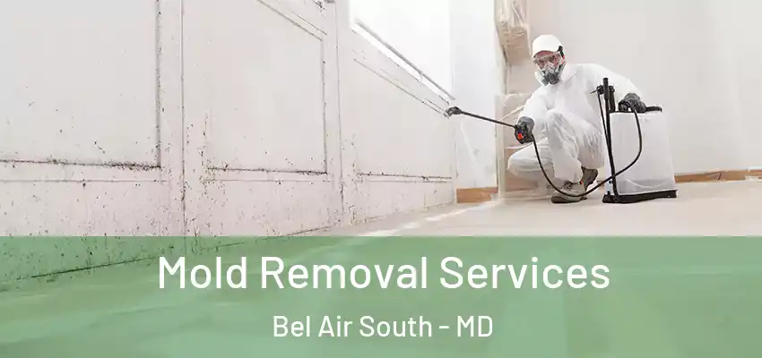 Mold Removal Services Bel Air South - MD