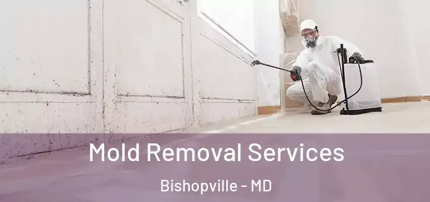 Mold Removal Services Bishopville - MD