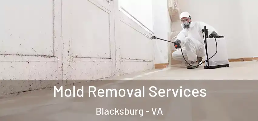 Mold Removal Services Blacksburg - VA