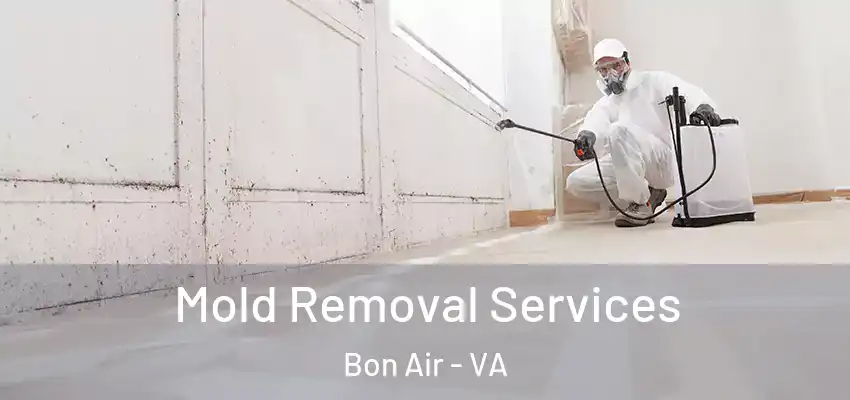 Mold Removal Services Bon Air - VA