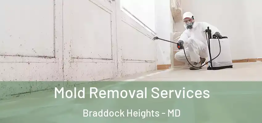  Mold Removal Services Braddock Heights - MD