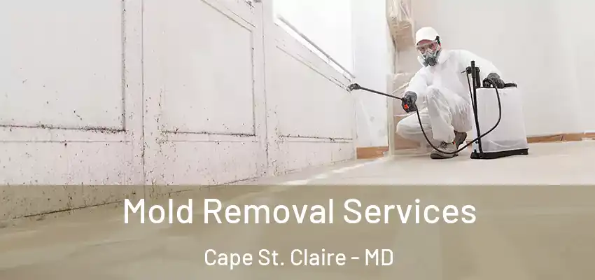 Mold Removal Services Cape St. Claire - MD