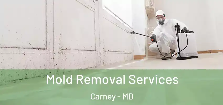  Mold Removal Services Carney - MD