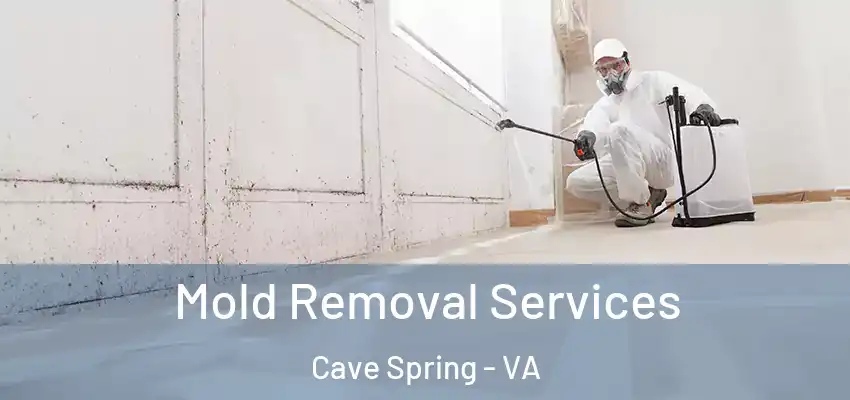 Mold Removal Services Cave Spring - VA