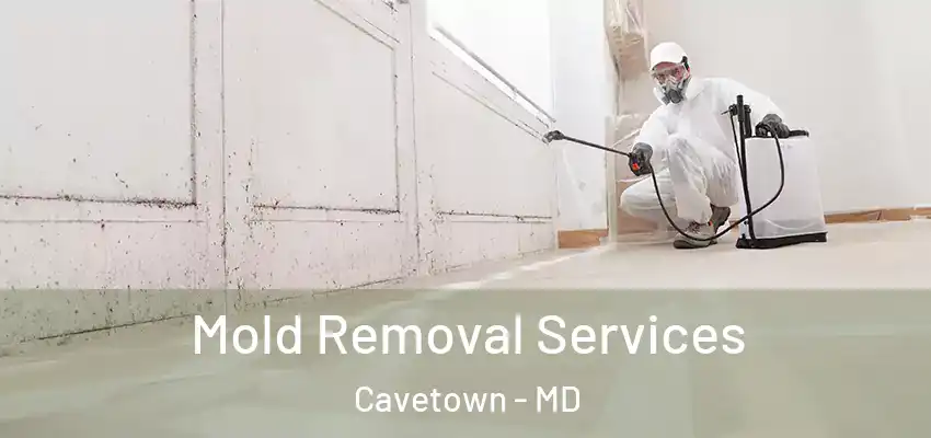 Mold Removal Services Cavetown - MD