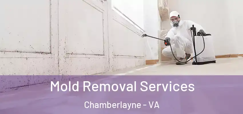 Mold Removal Services Chamberlayne - VA