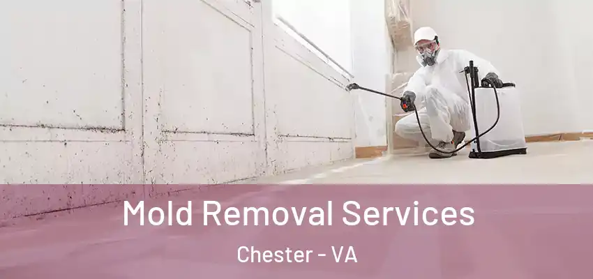 Mold Removal Services Chester - VA