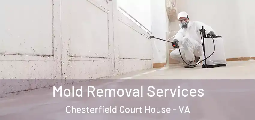 Mold Removal Services Chesterfield Court House - VA