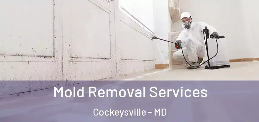  Mold Removal Services Cockeysville - MD