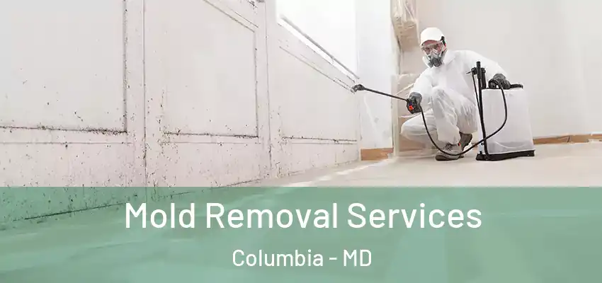 Mold Removal Services Columbia - MD