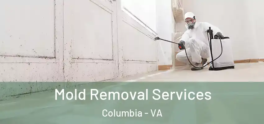  Mold Removal Services Columbia - VA