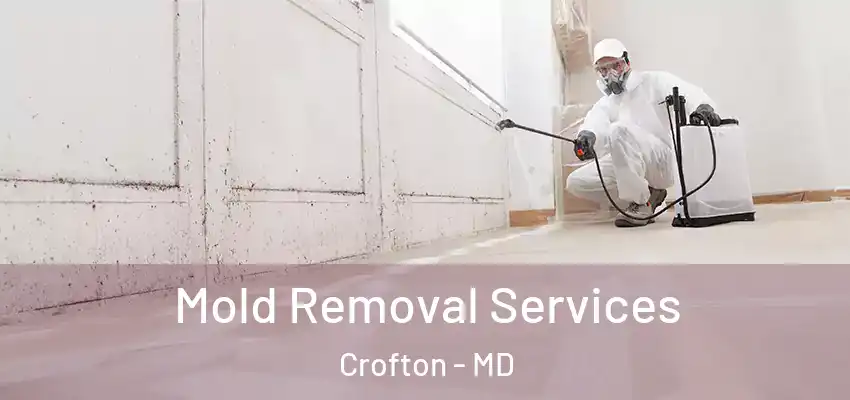  Mold Removal Services Crofton - MD