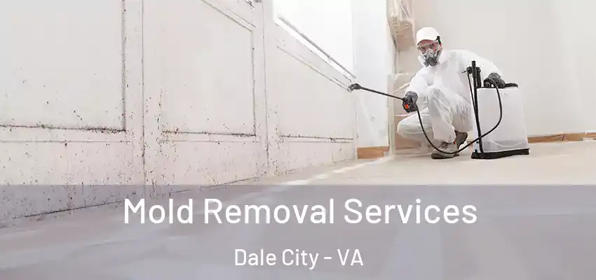  Mold Removal Services Dale City - VA