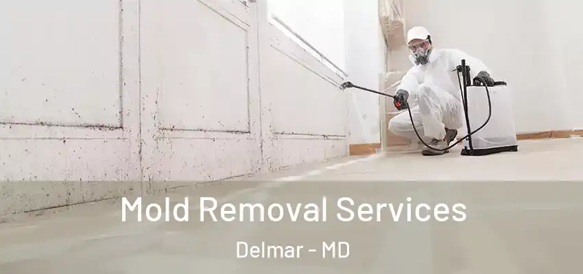  Mold Removal Services Delmar - MD
