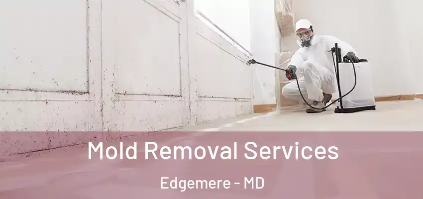  Mold Removal Services Edgemere - MD
