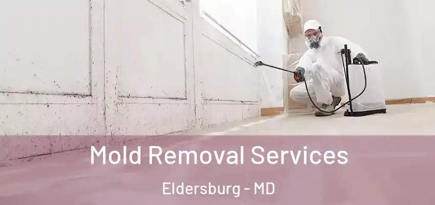 Mold Removal Services Eldersburg - MD