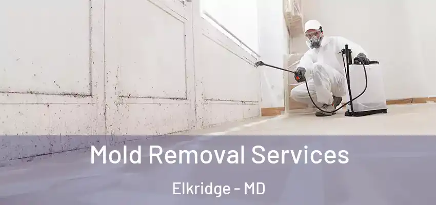 Mold Removal Services Elkridge - MD