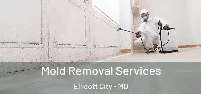  Mold Removal Services Ellicott City - MD