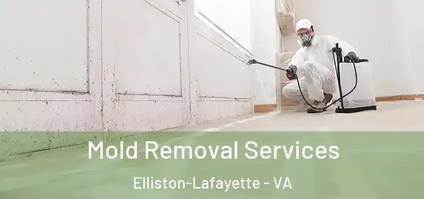 Mold Removal Services Elliston-Lafayette - VA