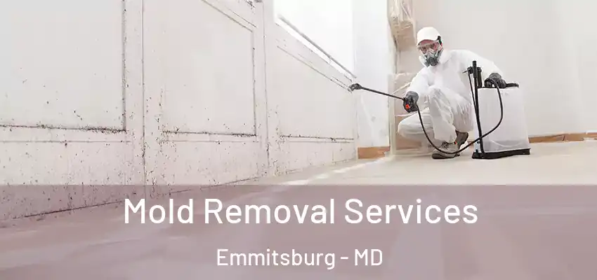  Mold Removal Services Emmitsburg - MD