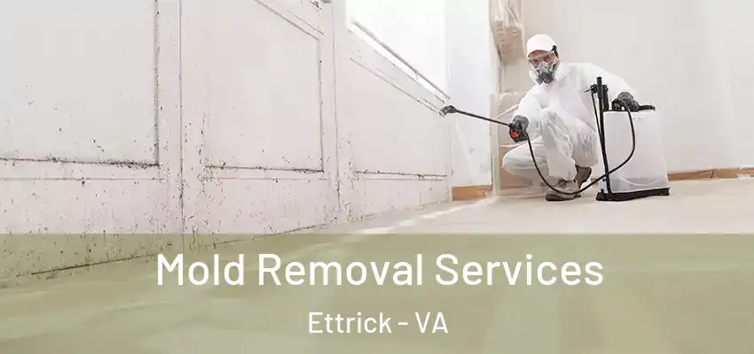 Mold Removal Services Ettrick - VA