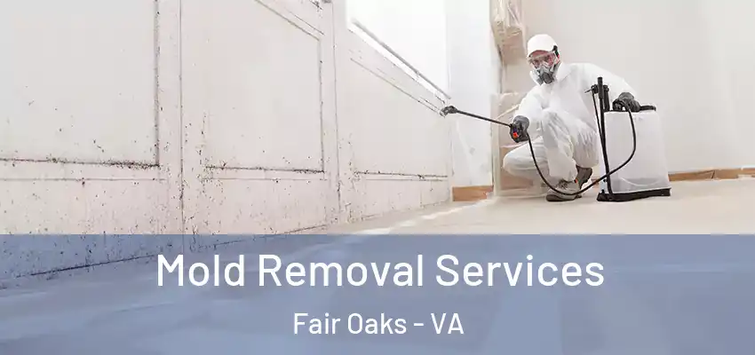  Mold Removal Services Fair Oaks - VA