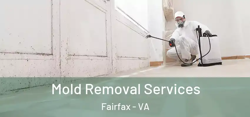 Mold Removal Services Fairfax - VA