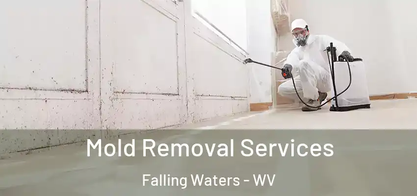  Mold Removal Services Falling Waters - WV