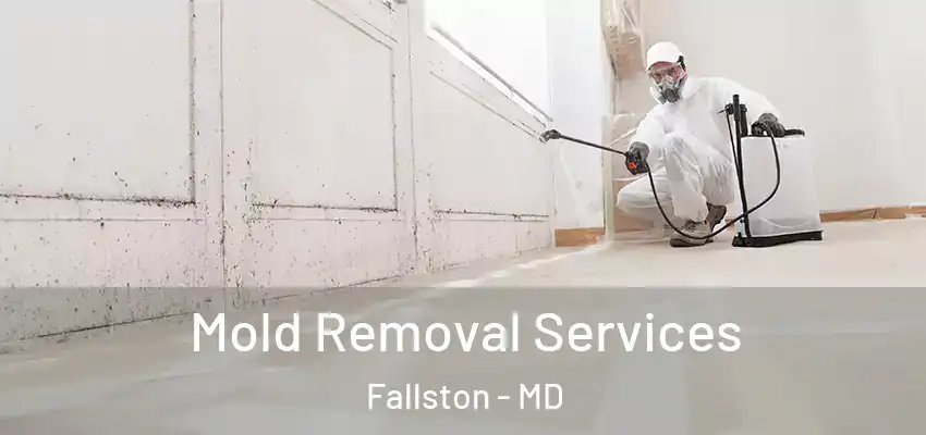  Mold Removal Services Fallston - MD