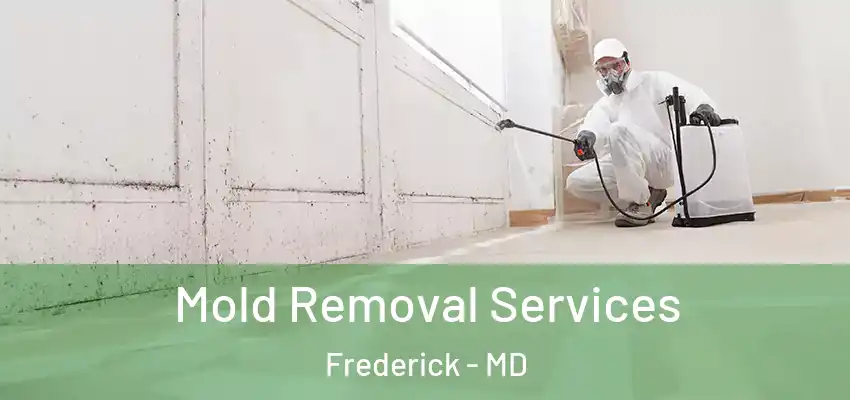  Mold Removal Services Frederick - MD
