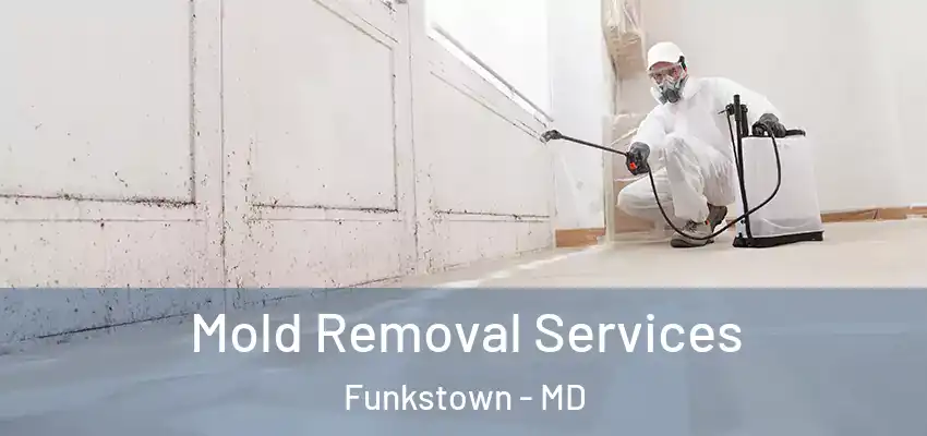 Mold Removal Services Funkstown - MD