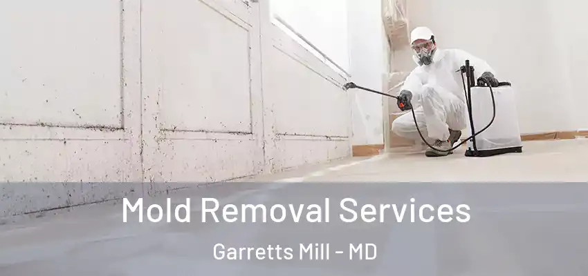  Mold Removal Services Garretts Mill - MD