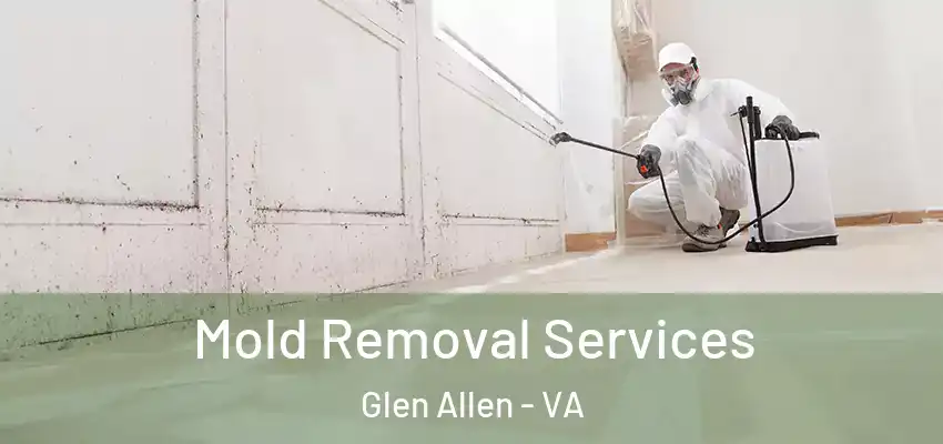 Mold Removal Services Glen Allen - VA