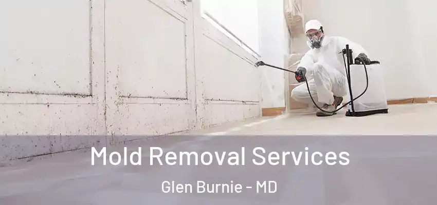 Mold Removal Services Glen Burnie - MD