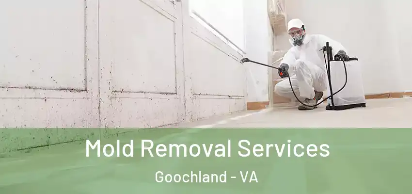 Mold Removal Services Goochland - VA