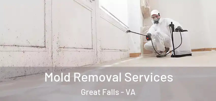 Mold Removal Services Great Falls - VA