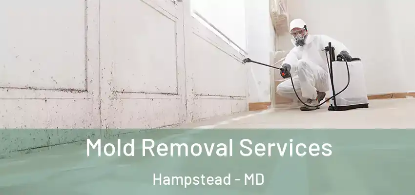 Mold Removal Services Hampstead - MD