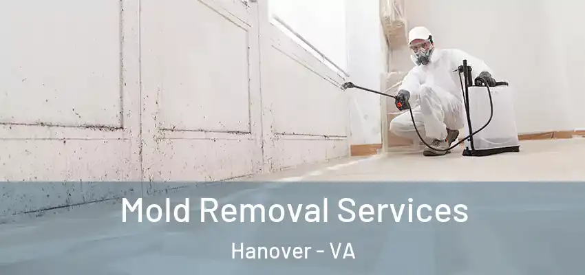 Mold Removal Services Hanover - VA