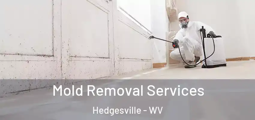 Mold Removal Services Hedgesville - WV