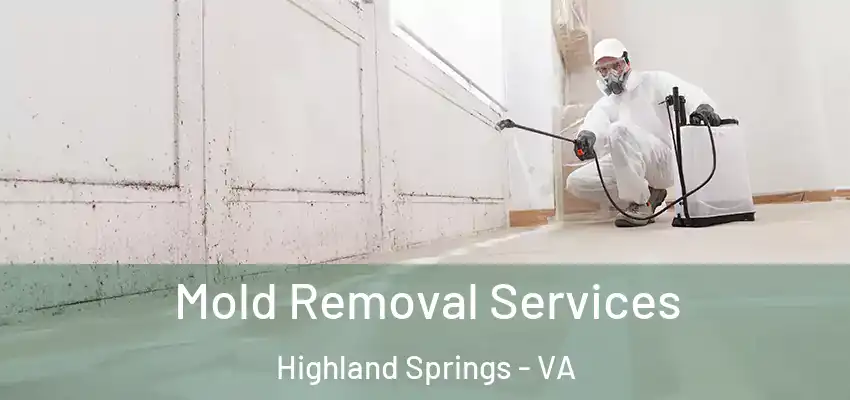 Mold Removal Services Highland Springs - VA