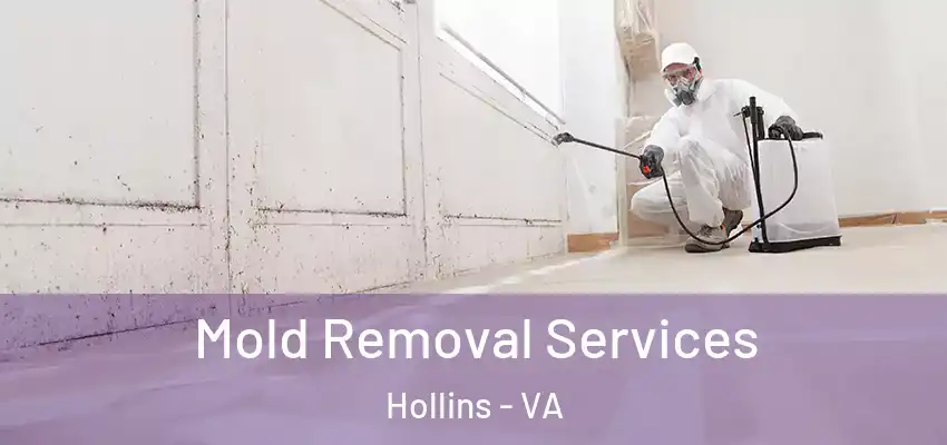  Mold Removal Services Hollins - VA
