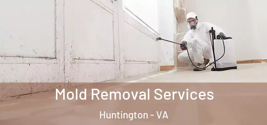 Mold Removal Services Huntington - VA