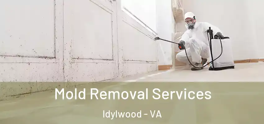  Mold Removal Services Idylwood - VA