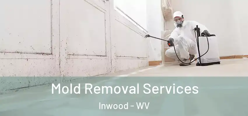  Mold Removal Services Inwood - WV