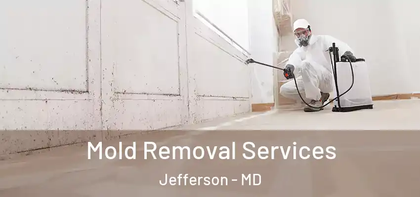 Mold Removal Services Jefferson - MD