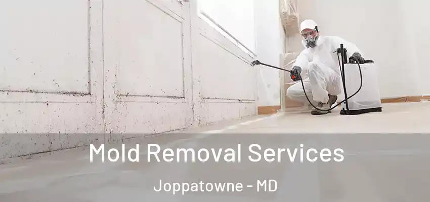 Mold Removal Services Joppatowne - MD
