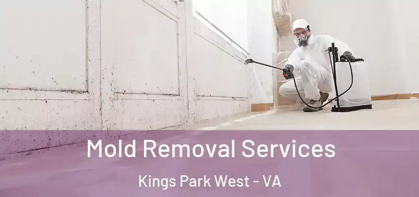 Mold Removal Services Kings Park West - VA