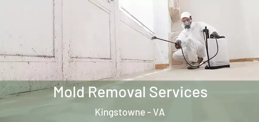 Mold Removal Services Kingstowne - VA