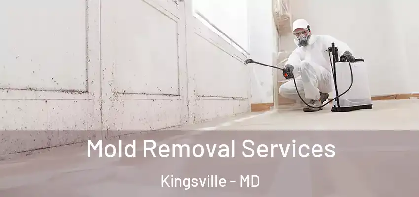 Mold Removal Services Kingsville - MD