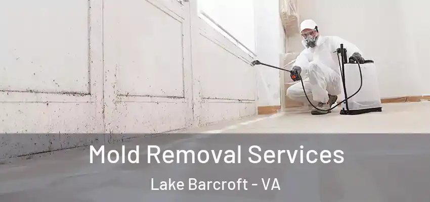  Mold Removal Services Lake Barcroft - VA